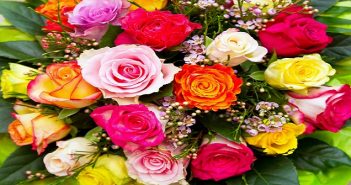 Poesie Spruche