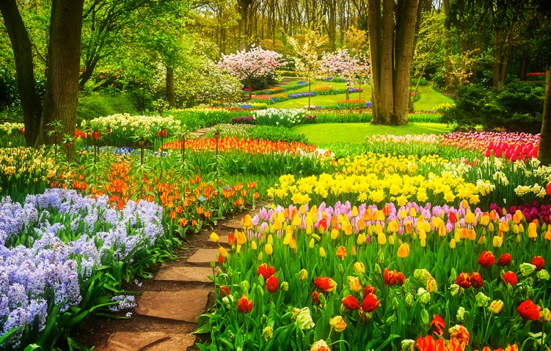 Entscheidend bei der Gartengestaltung sind jedoch nicht nur gute Ideen, wichtig ist auch das Budget, das zur Verfügung steht, und zwar beim Anlegen des Gartens wie auch bei der weiteren Gartenpflege in den folgenden Jahren. (Gartengestaltung Bilder #01)