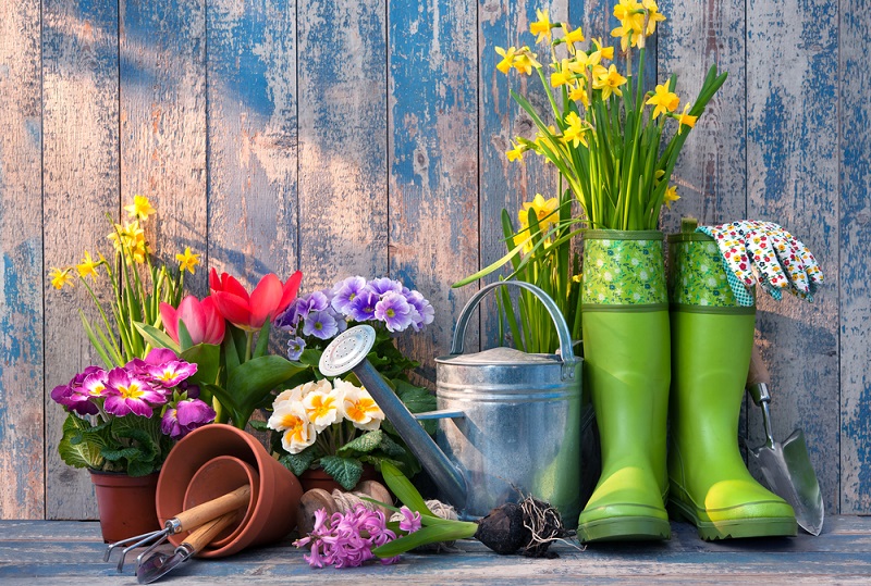 Der Erfolg guter Gartengestaltung sind Bilder wie dieses hier: Die Gartenpflege ist ein wichtiger Bestandteil der Gartengestaltung, um den Garten schön und ordentlich zu halten und sollte nicht vernachlässigt werden. (Gartengestaltung Bilder #03)