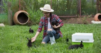 Kaninchenhaltung im Garten ( Foto: Adobe Stock - Sutipond Stock )