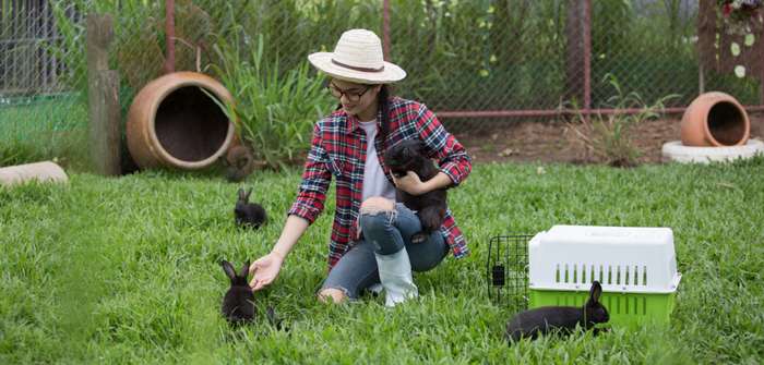 Kaninchenhaltung im Garten ( Foto: Adobe Stock - Sutipond Stock )