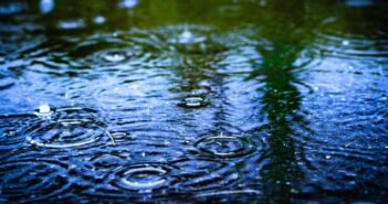 Wohin mit zu viel Regenwasser? ( Foto: Adobe Stock - 修太郎 清川EyeEm )