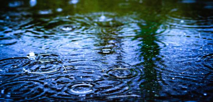 Wohin mit zu viel Regenwasser? ( Foto: Adobe Stock - 修太郎 清川EyeEm )