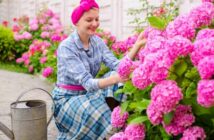 Hortensien Pflegen ( Foto: Adobe Stock - Volodymyr )