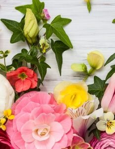 Frühlingsblumen in Töpfen, in der Vase – und im Garten!
