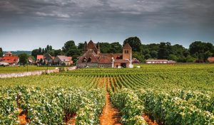 Das Burgund – Landschaft in Frankreich von atemberaubender Schönheit. Dabei wird die Region allerdings meist zuerst mit Wein in Verbindung gebracht. (#01)