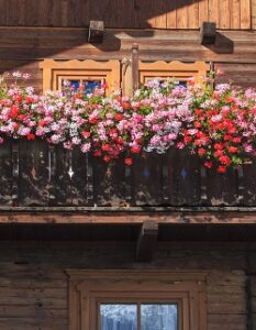 Balkon bepflanzen: Tipps und Know-How für jeden Balkon