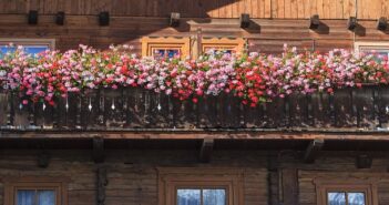 Balkon bepflanzen: Tipps und Know-How für jeden Balkon