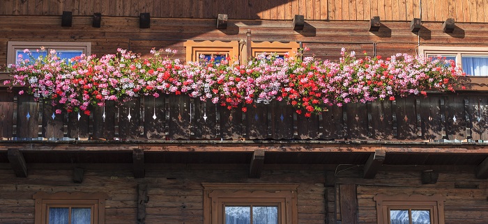 Balkon bepflanzen: Tipps und Know-How für jeden Balkon