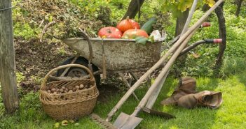 So bereiten Sie Ihren Garten für den Winter vor