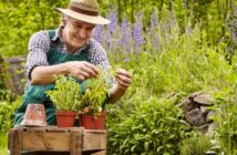 Der Lenz ist da! Was Sie für Ihren Kräutergarten im Frühling wissen müssen