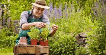 Der Lenz ist da! Was Sie für Ihren Kräutergarten im Frühling wissen müssen