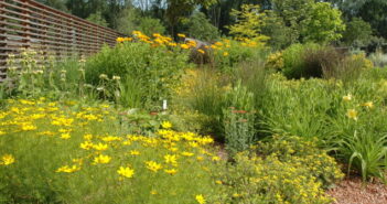 Gartengestaltung: Ideen & Tipps: Gärten zum Entspannen und die Natur genießen