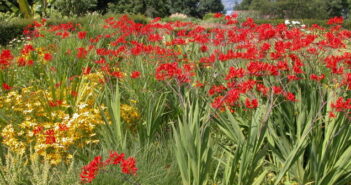 Garten: Ideen zum Nachmachen!