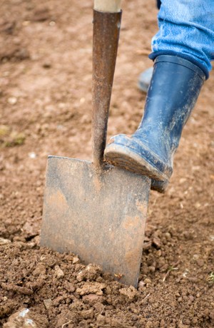 Das Staudenbeet anlegen: Schritt 1 - die Erde auflockern. (Foto: shutterstock - Firma V)