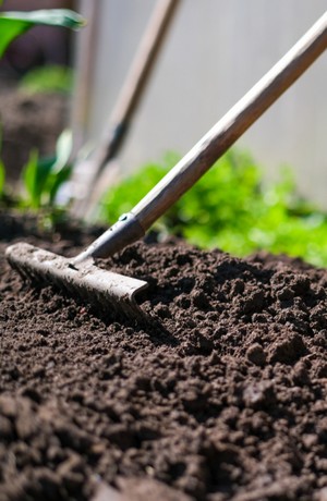 Das Staudenbeet anlegen, Schritt 3: den Boden mit Humus verbessern. (Foto: shutterstock - Vasilii Kosarev)