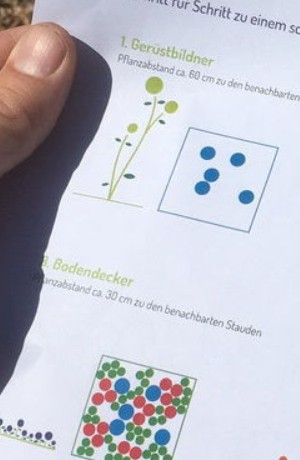 Das Staudenbeet anlegen, Schritt 4: die Stauden-Pflanzen auf dem Beet platzieren. (Foto: Eva Hokema)