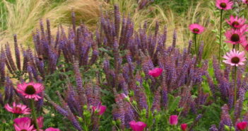 Gartengestaltung: Kleine Gärten stilvoll gestalten