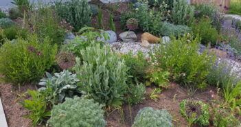 Kleiner Garten: Ideen für den Schatten