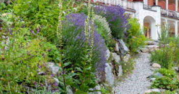 Landhausgarten: Tipps für idyllische Gärten