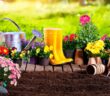 Gartenarbeiten „Frühling“: Mit unserer Checkliste mit 11 Tipps vergisst man nichts ( Foto: Shutterstock-Romolo Tavani)