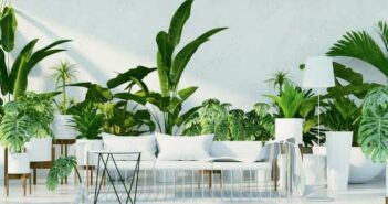 Diese Zimmerpflanzen verbessern das Raumklima ( Foto: Adobe Stock- tontectonix )
