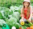 Nutzpflanzen im eigenen Garten: Gesundes Gemüse einfach selbst anbauen ( Foto: Shutterstock- Velychko_)