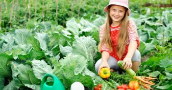 Nutzpflanzen im eigenen Garten: Gesundes Gemüse einfach selbst anbauen ( Foto: Shutterstock- Velychko_)