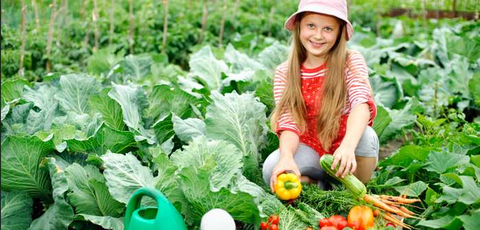 Nutzpflanzen im eigenen Garten: Gesundes Gemüse einfach selbst anbauen ( Foto: Shutterstock- Velychko_)