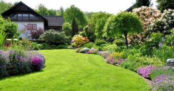 Die optimale Rasenpflege: Grüner Rasen ohne Unkraut gewünscht? ( Foto: Adobe Stock Andrea )
