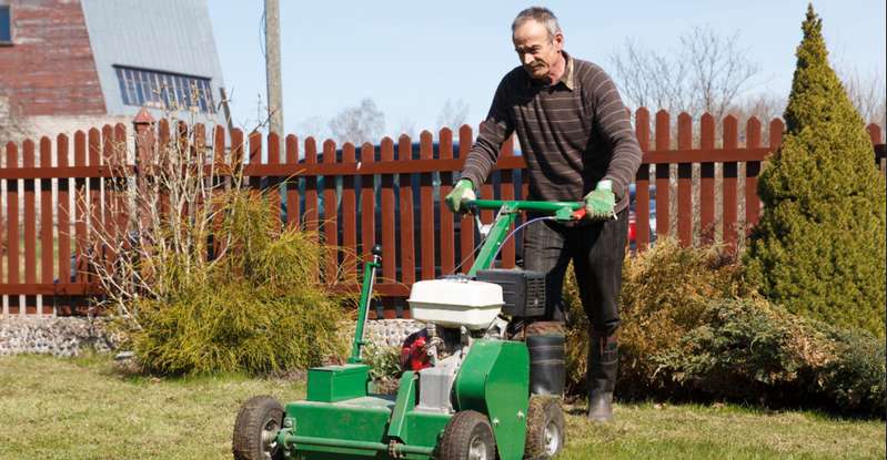 Viele Hobbygärtner schwören auf ihre eigenen Erfahrungen, was die Rasenpflege angeht. ( Foto: Adobe Stock aigarsr )