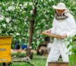 Bienen im eigenen Garten halten: Alles Wissenswerte für Hobby-Imker ( Foto: Adobe Stock - kaninstudio )