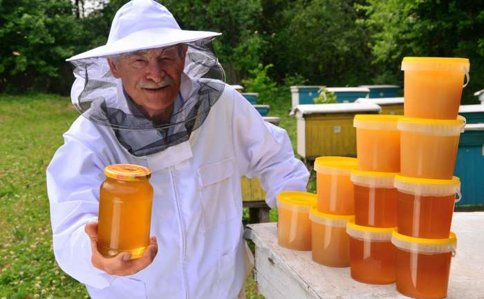 Das Halten von Bienen ist in der Regel allen Menschen erlaubt, eine besondere Qualifikation ist dafür nicht nötig.  ( Foto: Adobe Stock - Darios )