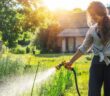 Optimale Gartenbewässerung, Tropf- & Microbewässerung: Hochwertige Produkte sorgen für Perfektion ( Foto: Adobe Stock - olezzo)