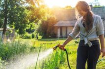 Optimale Gartenbewässerung, Tropf- & Microbewässerung: Hochwertige Produkte sorgen für Perfektion ( Foto: Adobe Stock - olezzo)