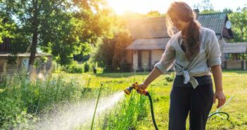 Optimale Gartenbewässerung, Tropf- & Microbewässerung: Hochwertige Produkte sorgen für Perfektion ( Foto: Adobe Stock - olezzo)