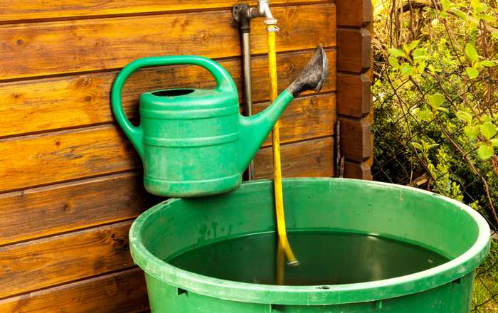 Man kann den Garten dann entweder mit einer Gießkanne bewässern oder man bedient sich einer Gartenpumpe. ( Foto: Adobe Stock - dima_pics )