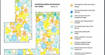 Pflanzen für Hummeln: Die besten Tipps für den Gartenplan mit Hummelpflanzen