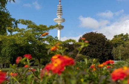 Neue Staffel des "Fernsehgarten" startet im ZDF (Foto: AdobeStock - Thorsten 530821373)