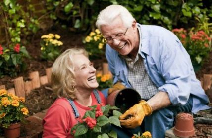 Gartenarbeit im Sommer: Tipps gegen Rücken- und (Foto: Getty Images - stevecoleimages)