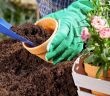 Maßgeschneiderte Verpackungslösungen für Blumenerden und (Foto: AdobeStock - 64612300 gkrphoto)
