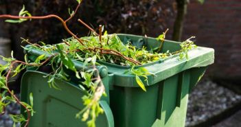 Effiziente Entsorgung von Grünabfall: Grünabfallcontainer und Big (Foto: AdobeStock 305198418  Elco)