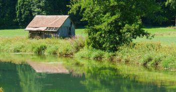 Renaturierung von Flüssen und Auen: Der beste Hochwasserschutz für (Foto: AdobeStock -  turtles2 523056310)