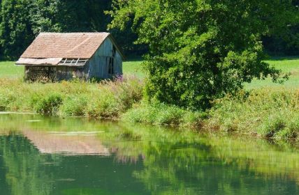 Renaturierung von Flüssen und Auen: Der beste Hochwasserschutz für (Foto: AdobeStock -  turtles2 523056310)