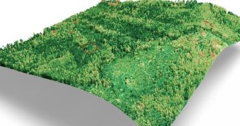 3D-Kartierung visualisiert präzise und detailliert Baumstrukturen sowie Ökosystementwicklung anschaulich Präzise Fernerkundung und Datenanalyse zur ökologischen Entwicklung am (Foto: PASSION4IT GmbH)