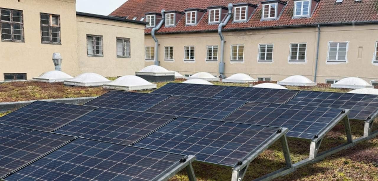 30 Zentimeter Abstand sichert optimale Lichtzufuhr und kräftiges Pflanzenwachstum Werkzeuglose TRITON flora Lösung fixiert PV-Module sicher ohne (Foto: T.Werk GmbH)