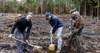 WEMAG und Partner pflanzen 2.000 Traubeneichen für lokalen (Foto: WEMAG/Stephan Rudolph-Kramer)