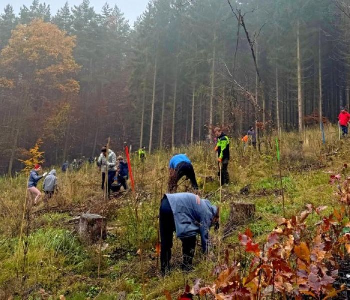 ARJES Save Nature - Wurzeln für die Zukunft (Foto: ARJES GmbH)