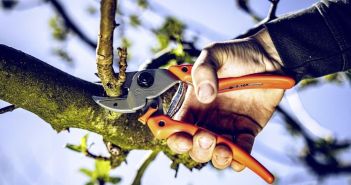 GardenPRO Hybrid-Scheren vereinen Amboss- und Bypass-Technik für kraftvolle (Foto: Gebr. Schröder GmbH, Original LÖWE)