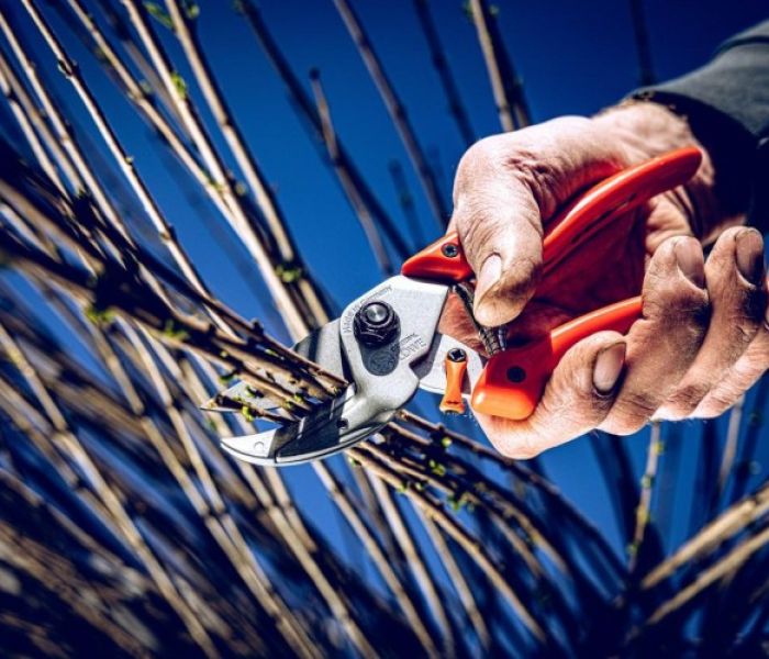 Die Vorteile der Hybrid-Amboss-Schere zeigt sich schnell (Foto: Gebr. Schr&ouml;der GmbH, Original L&Ouml;WE)